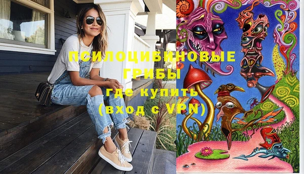 стаф Алексеевка