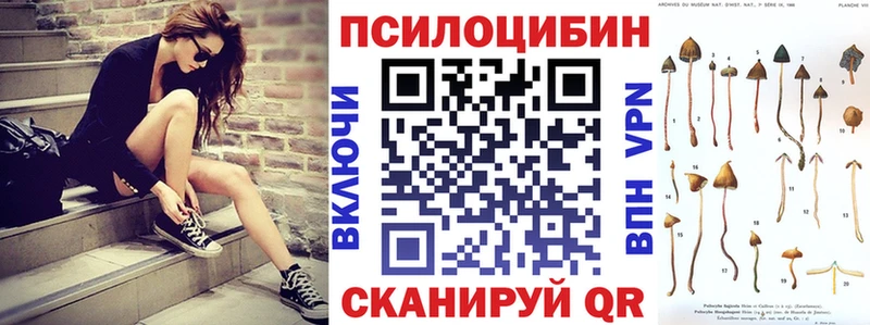 Псилоцибиновые грибы Psilocybine cubensis  магазин    Шебекино 