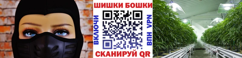 Конопля AK-47  Шебекино 